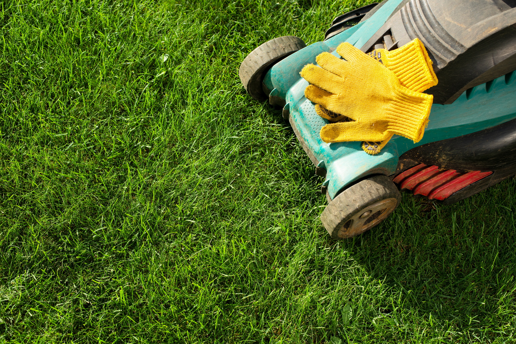Lawn mower on grass closeup view. Lawn care concept